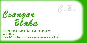 csongor blaha business card